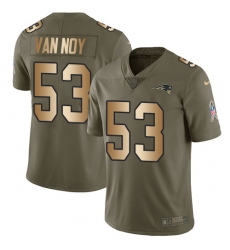 Youth Nike New England Patriots #53 Kyle Van Noy Limited Olive/Gold 2017 Salute to Service NFL Jersey