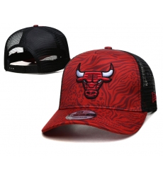 NBA Chicago Bulls Hats-937